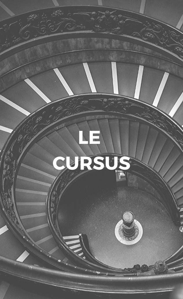 cursus en massothérapie - cours pour massothérapeute École de massage À fleur de peau